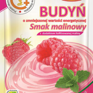 Budyń o smaku malinowym z dodatkiem liofilizowanej maliny – MODUS